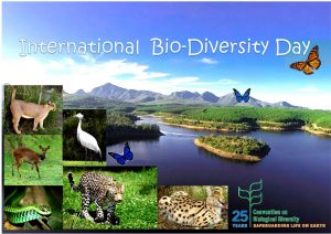 International-Biodiversity-feature-image